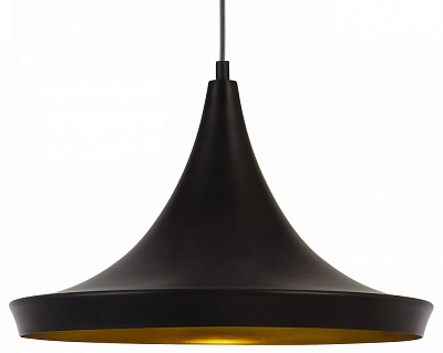 Подвесной светильник Arte Lamp Capello A3406SP-1BK 400_400_3080842